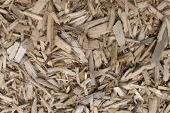 biomass boilers Sherrigrim
